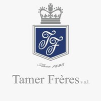 Tamer Freres SAL logo - Similar company to Tempay
