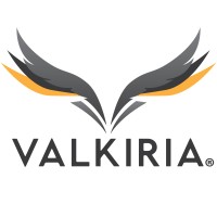 Valkiria Consultores SpA logo - Similar company to Creatingway Technology (Hk) Limited
