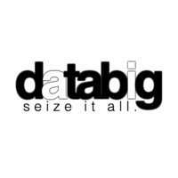 databig.ai logo - Similar company to Delegated Dds