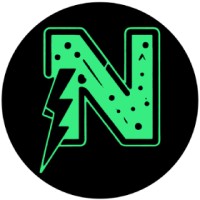 Netprofit Agency logo - Similar company to Ecomghosts