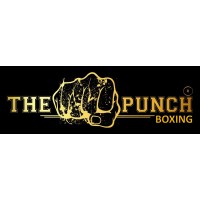 The Punch Boxing logo - Similar company to Om Tech Solutions