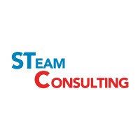S Team Consulting logo - Similar company to Sinal Mais