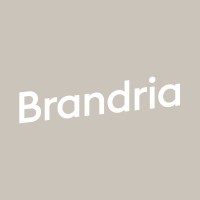 Brandria logo - Similar company to Digital Brandria