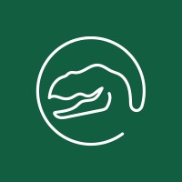 Dino Digital logo - Similar company to Dino Digital Solutions