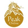 Peak Online logo - Similar company to Next Customer Please
