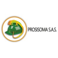 PROSISOMA logo - Similar company to Luxe Instore
