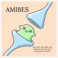 AMIBES - Association des Mines pour l'Ingénierie Biomédicale et les Etudiants en Santé logo - Similar company to Winbids