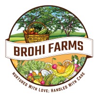 Brohi Farms logo - Similar company to Future Agritech