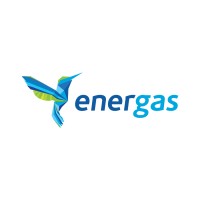Energas logo - Similar company to Bracos - Construcoes E Instalacoes De Dutos E Projetos