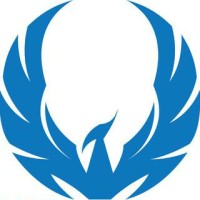 BluPhoenix Digital logo - Similar company to Bluphoenix Advisors