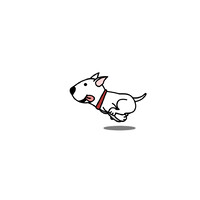 ST. JOHN'S PETS AND GROOMING LTD logo - Similar company to Baomao Pets Design Made In Italy