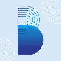 Binashree logo - Similar company to Nanoquest