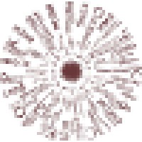 Assemblage Point