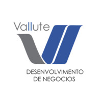 Vallute - Desenvolvimento de Negócios logo - Similar company to Grupo Simão Sarkis