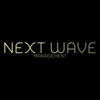 Next Wave Management AS logo - Similar company to Pando Performance - Player Management