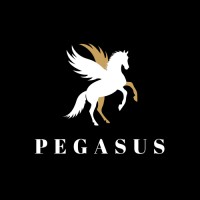 Pegasus logo - Similar company to Sebastco