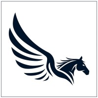 360 Pegasus Domestic logo - Similar company to Serendipity Ventures