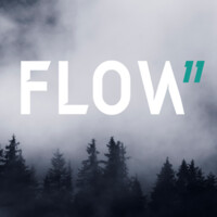FLOW11 logo - Similar company to Bvro.Mx