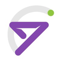 Ninestone Partners logo - Similar company to Analytics Barons Llc