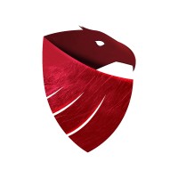 TECNOSEC logo - Similar company to Hackron