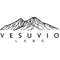 Vesuvio Labs logo - Similar company to Sarvanam Software