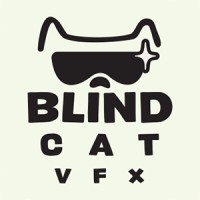 Blind Cat VFX logo - Similar company to Mooov.Team