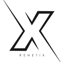 Renetix Software- und Personalberatungs GmbH logo - Similar company to Skilltops