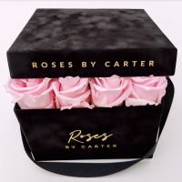ROSES BY CARTER LIMITED logo - Similar company to Kaan Amjad