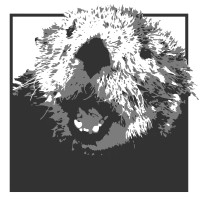 Dale | Digital Strategists logo - Similar company to Black Sheep Vfx