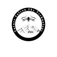 Future Falcon Sky Technology logo - Similar company to T-Global Technologies Pvt Ltd