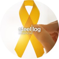 Steel Log logo - Similar company to Stellog