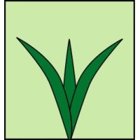 SARK Bangladesh logo - Similar company to Sufola Agro Tissue Culture Lab