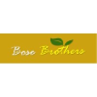 Bose Brothers Tea logo - Similar company to Hapi Beer Co.