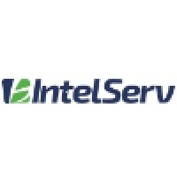Intelserv Inteligência Em Serviços