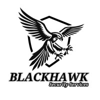 BlackHawk Security Services SRL logo - Similar company to Armor Security And Protection Inc.