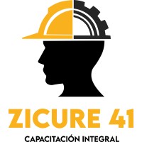 Zicure 41 logo - Similar company to Ds3