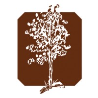 Birch Run Investments logo - Similar company to Security Traders Association Of Arizona