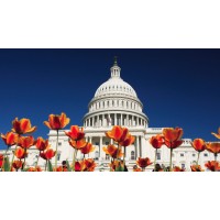 SWEA Washington DC logo - Similar company to Swea International Inc.