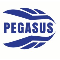 Pegasus Consultancy Engineering Ltd. logo - Similar company to Net Telekom Ltd. Şti.