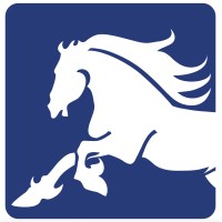 Stallion Textiles (Pvt.) Ltd. logo - Similar company to Netframe