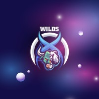 0xWilds logo - Similar company to BluShark Media
