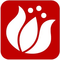 Spring Import Inc logo - Similar company to Apparel Options Limited