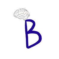 Berkesah logo - Similar company to Surveytransfer