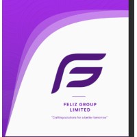 Feliz Group Limited logo - Similar company to Felizgroup