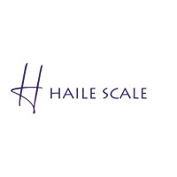 Haile Scale logo - Similar company to Vision Elements