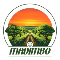 Madimbo Group logo - Similar company to Tzaneen Mining Projects