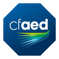 cfaed - Center for Advancing Electronics Dresden logo - Similar company to Acm/Ieee Embedded Systems Week (Esweek)