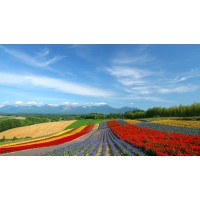 Dongguan Libaishan Elevator Co., Ltd. logo - Similar company to Whitesmith Solutions Ltd