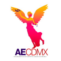AECDMX logo - Similar company to Tz Group