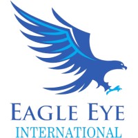 Eagle Eye International FZC logo - Similar company to Eagles Cyberlab